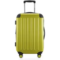 Hauptstadtkoffer - Spree - Bagage à main avec extension, valise sur roulettes, trolley avion valise rigide Hand Luggage TSA, 55 cm, Cabin Bag max 42 litres,Fougère