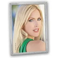 Zep S05-4 Silver Frame 10x15 cm (10 x 15 cm)