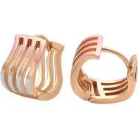 NAEMI Boucles d'oreilles or / or rose / argent