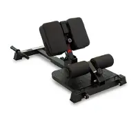 BH Fitness Machine sissy squat