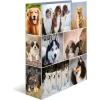 Herma Dossier A4 Motif (A4, 70 mm, 1 pcs)
