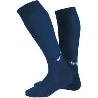 Errea Chaussettes de sport gentiane / blanc