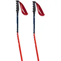 Swix Bâtons World Cup Pro Donwhill