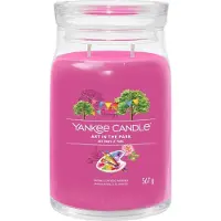 Yankee candle Art In The Park bougie parfumée Signature 567 g