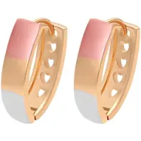 Gaya Boucles d'oreilles or rose / rose / argent