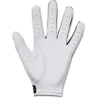 Under Armour Gant De Golf Iso-Chill Pour Homme Noir / Blanc / Blanc Lxl