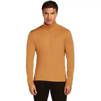 Icebreaker Merino 260 Tech Long Sleeve Base Layer Marron S Homme