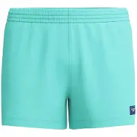 Speedo Solid Retro Volley 13 Swimming Shorts Vert M Homme