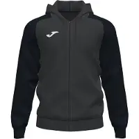 Joma Sweatshirt à capuche Academy IV