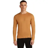 Icebreaker Merino 260 Tech Crewe Long Sleeve Base Layer Marron M Homme