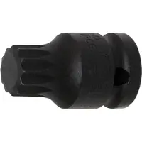 Bgs 5381-M18 Jeu d'embouts de vissage, denture intérieure, M18, 12,5 (1/2), 40 mm