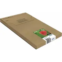 Epson 29XL Aardbei Claria - Cartouche d'encre - EasyMail - Multipack - Kleur / Zwart