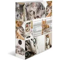 Herma Dossier A4 Motif (A4, 70 mm, 1 pcs)