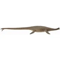 Collecta Thalassomedon - 1:40
