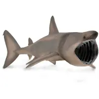 Collecta Requin géant - (XL)