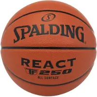 Spalding Ballon de basketball React TF250 All Surface