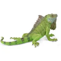 Collecta Leguán