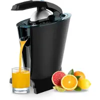 Cecotec Essentialvita Hyden 600 Juicer Argenté One Size / EU Plug 220V
