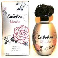 Cosmetara Charm Co. Cabotine Rosalie Eau de Toilette 100ml Spray