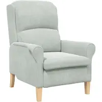 vidaXL fauteuil Gris clair 76 x 94 x 102 cm Velours