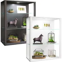 VCM bois verre vitrine murale vitrine suspendue vitrine de collection vitrine vitrine sur pied vitrine Glasol LW