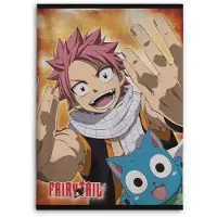 Fairy Tail - Natsu & Happy - Plaid En Polaire 100x140cm