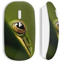 MANIACASE Souris sans fil Grenouille œil