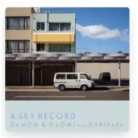 Konkurrent Damon & Naomi - A Sky Record [Vinyl]