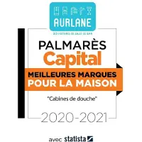 Praxis Panneaux Homestone - 120x210 cm -Stone