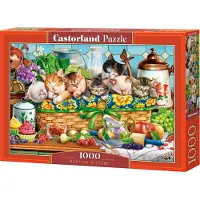 Castorland Puzzle Chatons qui Font la Sieste - 1000 pièces