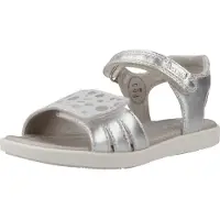 Garvalin 242424g Couleur Argent