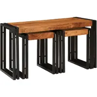 vidaXL Tables d'appoint Marron et noir Bois d'acacia massif