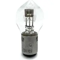 Hella 8GH 008 357-011 Gloeilamp, koplamp