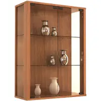 VCM Vitrine murale suspendue vitrine en verre vitrine murale vitrine en verre Udina Vitrine murale suspendue vitrine en verre vitrine murale vitrine en verre Udina