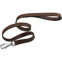 Ferplast Laisse Pour Chien Cuero Toro Vip 15 Mm 120 Cm