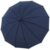 Doppler Parapluie bleu