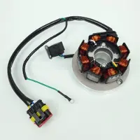 P2r Stator D Allumage Pour Moto Generic 50 Trigger Avant 2020 Neuf