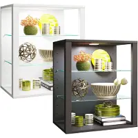 VCM bois verre vitrine murale vitrine suspendue vitrine de collection vitrine vitrine sur pied vitrine Glasol S