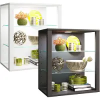 VCM bois verre vitrine murale vitrine suspendue vitrine de collection vitrine vitrine sur pied vitrine Glasol S