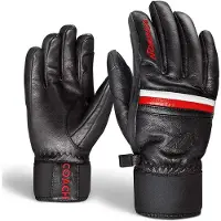 Nordica Coach Gloves Noir S