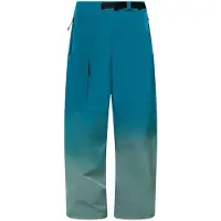 Oakley Apparel Channel Grade Cargo Pants Bleu S Homme