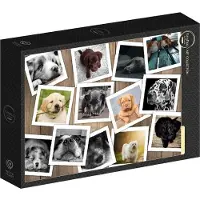 Grafika Puzzle chiens - 1000 pièces animaux Puzzle