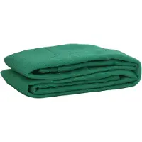 vidaXL Filet pour remorque vert 3x5 m PEHD