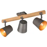 TRIO Place Bell Gris antique 3 lumières avec bois