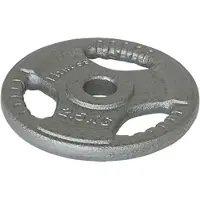 Softee Iron Plate 10kg Argenté