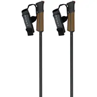 Fischer Gt 13 Comp Mag Poles Marron 125 cm
