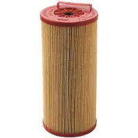 VETUS 720/h Filter Replacement Rouge