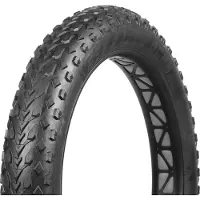Vee Tire 20 x 4.00