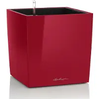 Lechuza Cube Premium 30 - Kit Complet, Rouge Scarlet Brillant 30 Cm