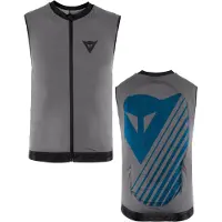 Dainese Snow Scarabeo Flexagon Waistcoat 2 Junior Protection Vest Gris XL Fille